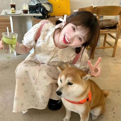 牙签乔尼